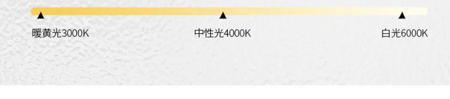 Louvre Pendant Light