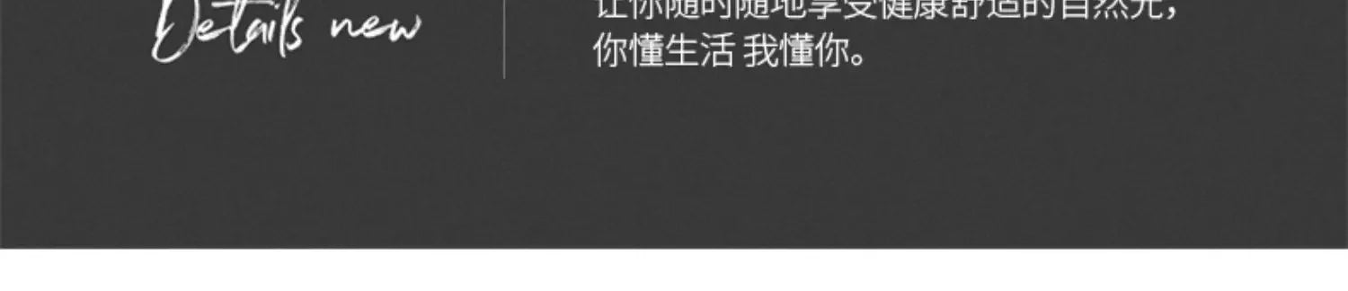 Louvre Pendant Light