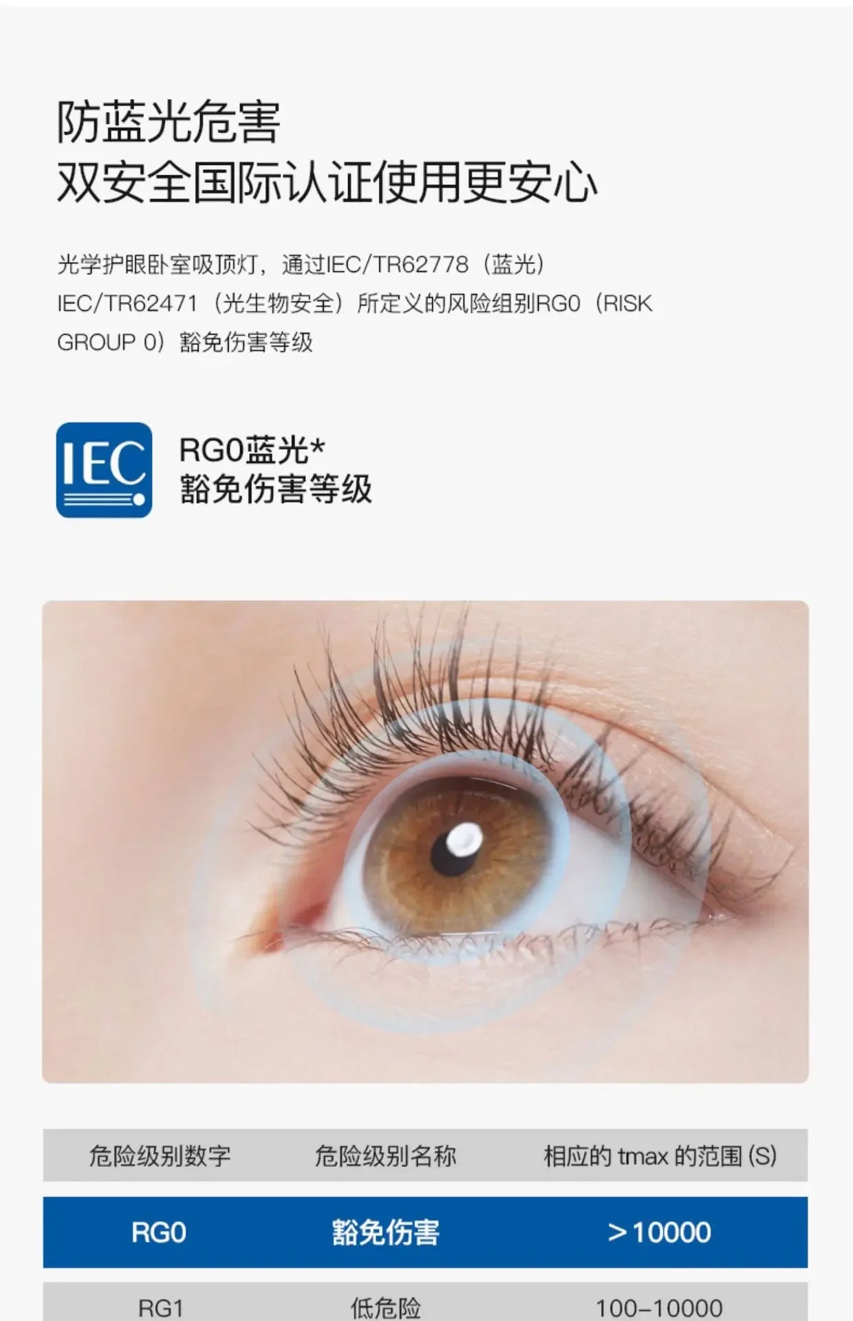 Louvre Pendant Light